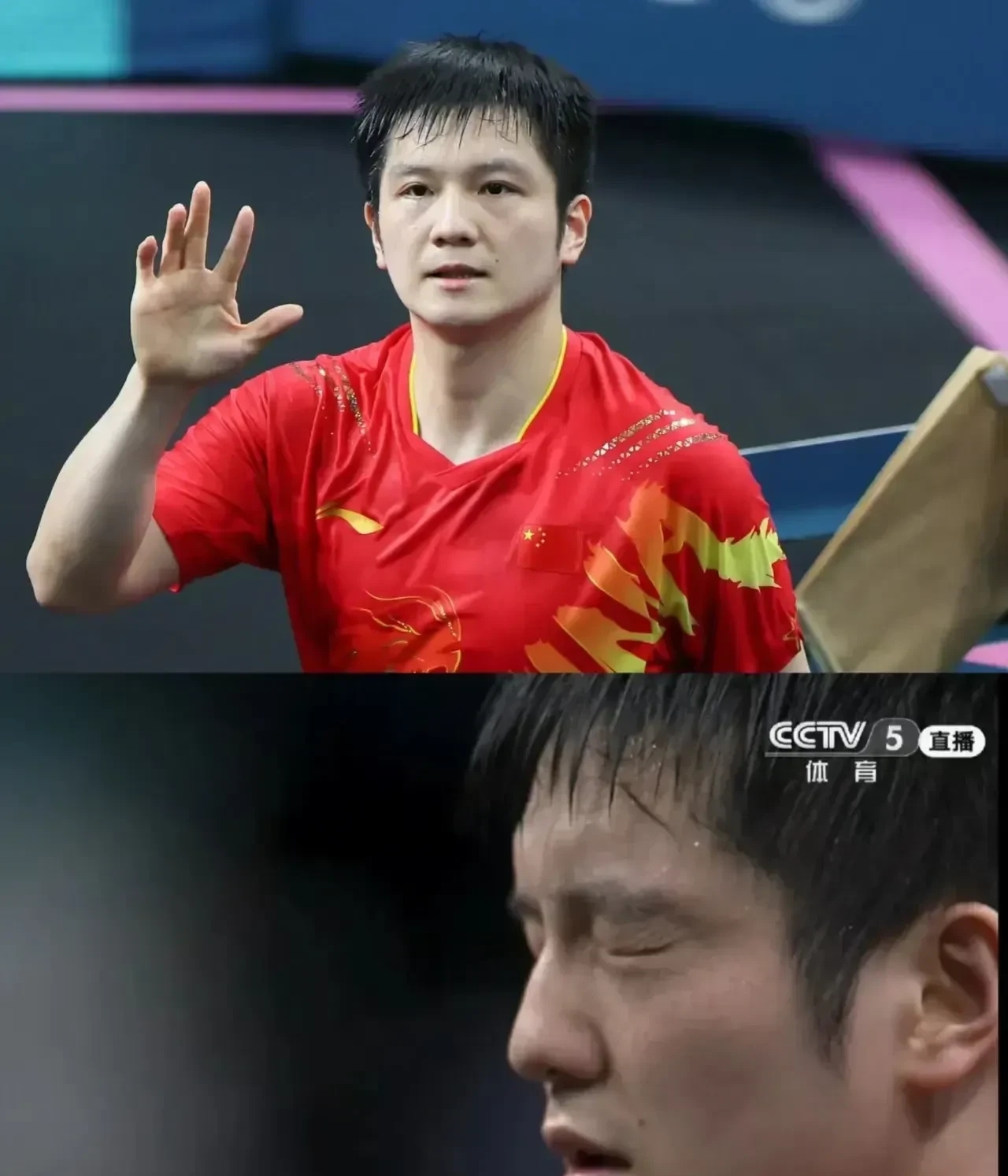 关于中国队横扫波兰队，樊振东状态火热的信息